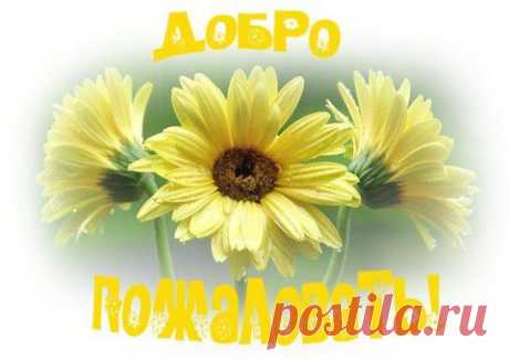 ЧЕЛОВЕК ИЩУЩИЙ!