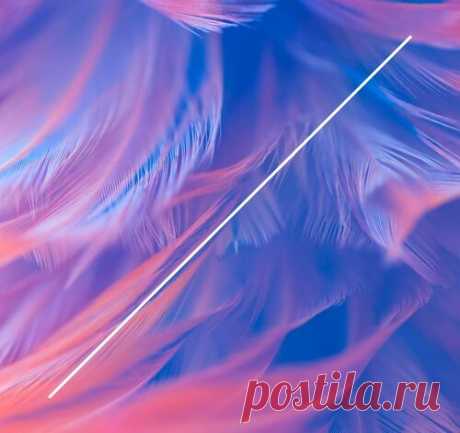 Death on the Balcony – Where Do We Go? [LOOTREC057D] free download mp3 music 320kbps