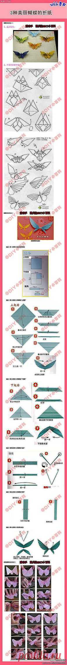 【3种美丽蝴蝶的折纸】很漂亮@我和我的流浪猫采集到生活百科(159图)_花瓣