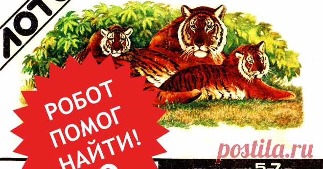 САМОЕ ВАЖНОЕ: ЗООЛОГИЧЕСКОЕ ЛОТО 