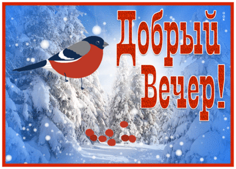 Открытка добрый вечер с чудесным зимним видом