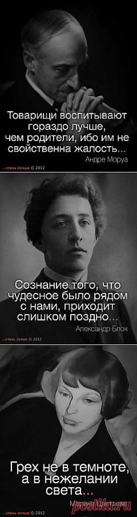Цитаты 8