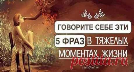 5 фраз, которые нужно говорить себе в тяжелые моменты жизни 5 фраз, которые нужно говорить себе в тяжелые моменты жизни. Чтобы пережить трудные времена, нужно прежде всего мобилизовать все свои внутренние ресурсы. Вовлекаясь во множество дел, Не мечись, как по джунглям ботаник, Не горюй, что не всюду успел, Может, ты опоздал на «Титаник» Игорь Губерман. Трудности в жизни настигают нас внезапно, без предупреждения, и практически сбивают с ног. Они имеют множество форм, и ин...
