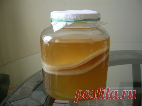 Чайный гриб — антибиотик из банки. Как вырастить самостоятельно.

Чайный гриб — это симбиоз различных бактерий и дрожжей, возникший в естественных условиях. Чайный гриб был настолько популярен среди жителей различных народностей, что упоминания о нём можно найти практически в каждой культуре. Это не удивительно, ведь помимо приятного вкуса и ряда полезных свойств, культуральная жидкость чайного гриба является мощнейшим антибиотиком.

История чайного гриба берёт своё начало...