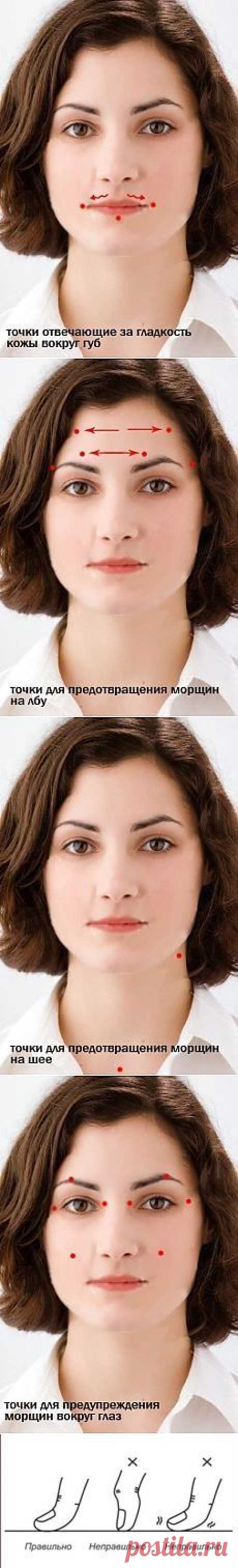 Как правильно подготовить кожу лица к макияжу. Инфографика | girly | Инфографика, Лица и Макияж