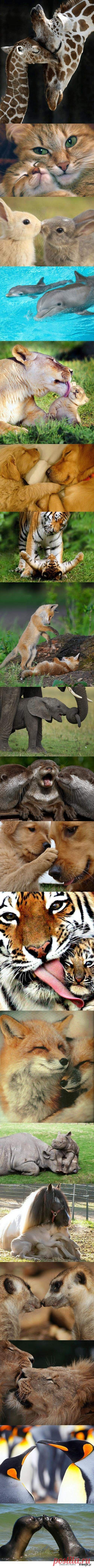 Найдено на сайте kwejk.pl.