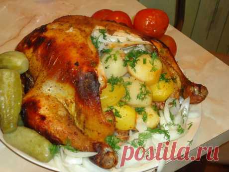 ДОБРАЯ НАША КУРОЧКА !!!  **Соус: майонез 2ст/л, горчица 2ст/л, мёд 1ст/л, специи, соль - обмажем курочку, оставим на 1час. *Фаршируем картофелем и луком, кладём в рукав. *В духовку на 1час, при 180.