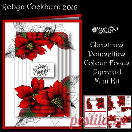 Christmas Poinsettias Colour Focus Pyramid Mini Kit