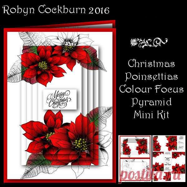 Christmas Poinsettias Colour Focus Pyramid Mini Kit