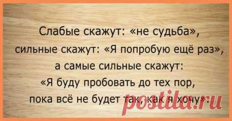 Топ-25 лучших мотивирующих цитат
1. «Цель включает зажигание, запускает двигатель и питает наши души». 2. «Большинство людей намного сильнее, чем они думают, они просто забывают иногда в это верить.» 3. «Самое высокое наслаждение — сделать то, чего, по мнению других вы не можете сделать.» 4. «Если вам что-то по душе, то вы можете сделать это прибыльным занятием независимо от […]
Читай пост далее на сайте. Жми ⏫ссылку выше