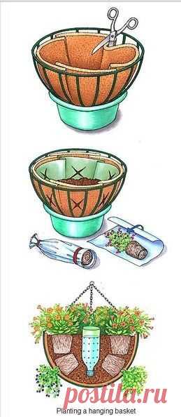 (131) Pinterest