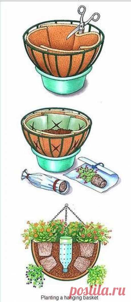 (131) Pinterest