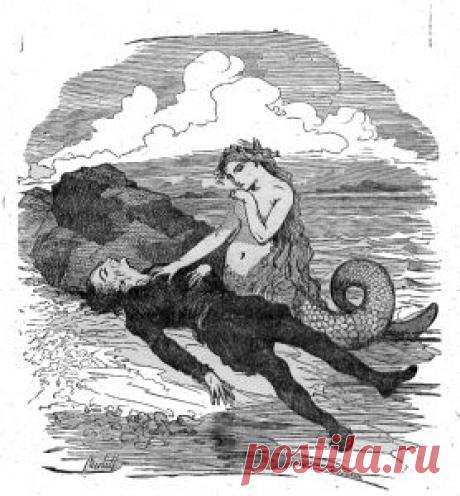 Cуществуют ли русалки - Вода | H2O это жизнь