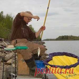 Осенние особенности ловли плотвы - МирТесен