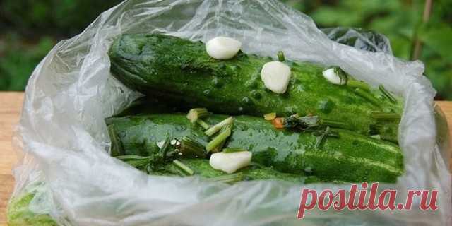 ВКУСНЕЙШИЕ в ПАКЕТАХ и ПОМИДОРЧИКИ и ОГУРЧИКИ 