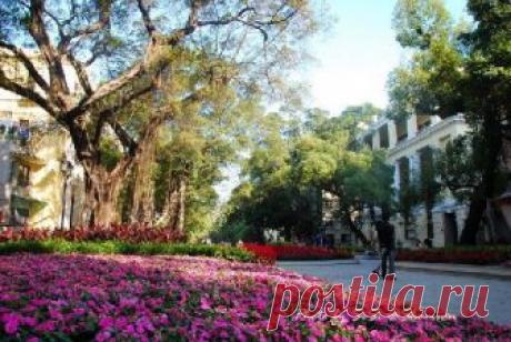 Остров Шамянь - историческая концессия Кантон... - отзыв о Shamian Island, Гуанчжоу, Китай - TripAdvisor Shamian Island: Остров Шамянь - историческая концессия Кантон... - просмотрите отзывы путешественников (1 721 шт.), реальные фотографии (1 587 шт.) и лучшие специальные предложения для Гуанчжоу, Китай на сайте TripAdvisor.