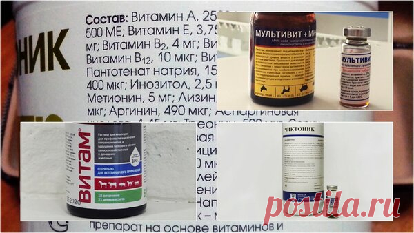 Добавки, которые привлекают рыбу, как валерьянка кошек | Рыболовные тонкости | Яндекс Дзен