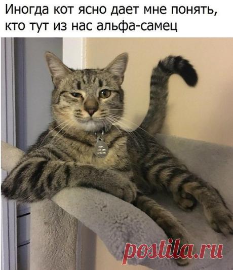 Интересные новости