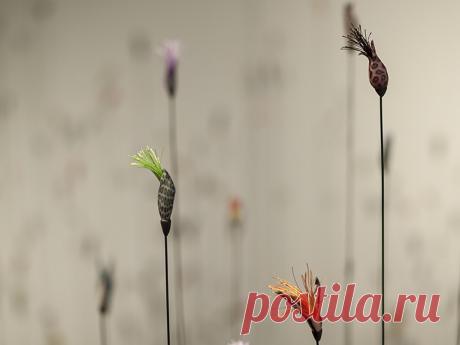 Tabakman-On the Trail-Carthage College-2