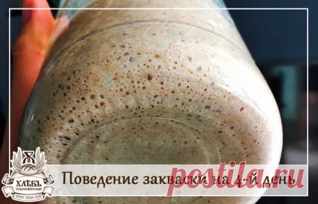 ТОП 8 ошибок и самых вредных привычек при выведении закваски

Ошибка №1 - Делать все на глаз.

Практически у каждого второго, а то и третьего участника хлебного флешмоба возникали проблемы с закваской-стартером при выведении: то плесень, то уксус, то непроходящий фруктово-ацетоновый или прям чисто ацетоновый запах. А все банально и просто.) Получили урок, открыли, смотрим, слышим - 50 грм. муки +50 грм. воды... И вот тут наступает момент, а не сделать ли все на глазок)) И ...