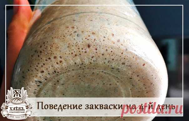 ТОП 8 ошибок и самых вредных привычек при выведении закваски

Ошибка №1 - Делать все на глаз.

Практически у каждого второго, а то и третьего участника хлебного флешмоба возникали проблемы с закваской-стартером при выведении: то плесень, то уксус, то непроходящий фруктово-ацетоновый или прям чисто ацетоновый запах. А все банально и просто.) Получили урок, открыли, смотрим, слышим - 50 грм. муки +50 грм. воды... И вот тут наступает момент, а не сделать ли все на глазок)) И ...