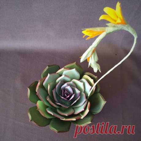 Paper echeveria.  I've been tinkering with this version on and off for two years!  #dscolor #succulentlove #papercrafts #paperflowers #appaperlove