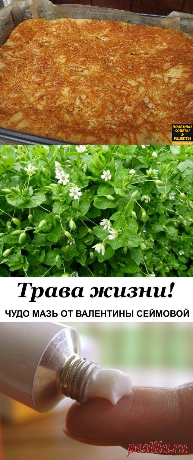 Одноклассники    Быстрый пирог к чаю. Нет проще!!!