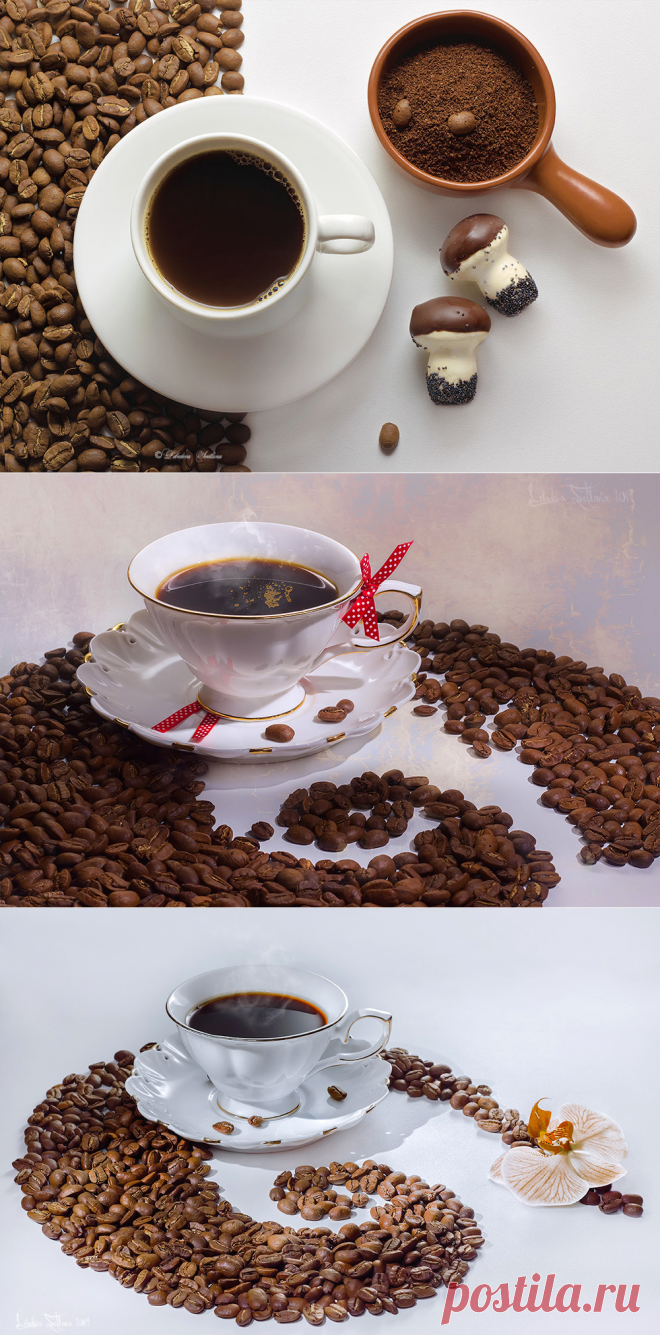 Фотонатюрморты. Светлана Лебедева (Lebedeva Svetlana). Часть 5.