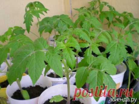 Pinterest (Пин) (144)