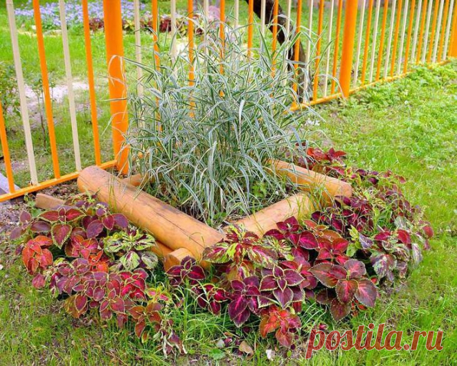 Дачные клумбы. Фотографии красивых клумб