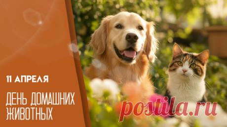 Сегодня такой добрый день — День домашних животных! Обнимите своих питомцев, одарите их еще большей любовь, заботой и вкусняшками. Открытки на День домашних животных!