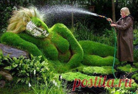 (107) İlginç Paylaşımlar