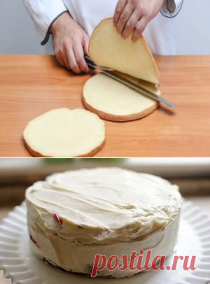 Коржи для торта: копилка уникальных рецептов