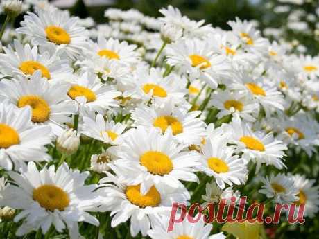 ВЯЗАНАЯ КОПИЛКА №7 2014. ВЯЗАНЫЙ ДЕКОР