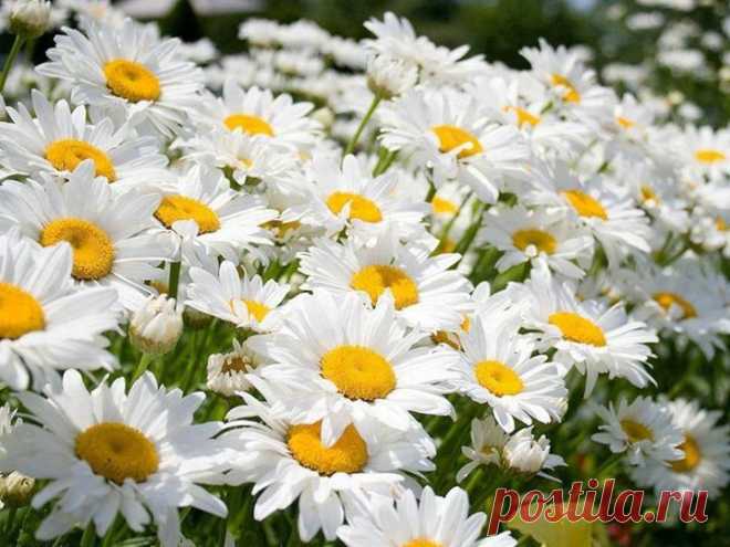 ВЯЗАНАЯ КОПИЛКА №7 2014. ВЯЗАНЫЙ ДЕКОР