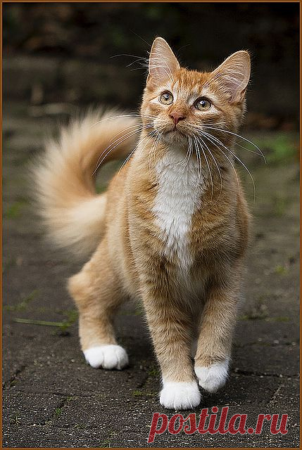 Action time .....? | Flickr - Photo Sharing!