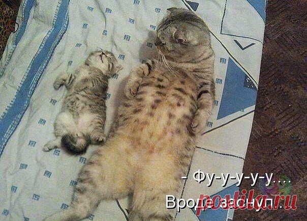Наталья Трубникова
