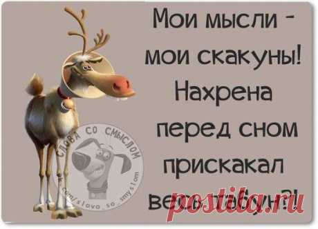 )))))))))))