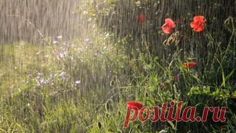 Капельки радости