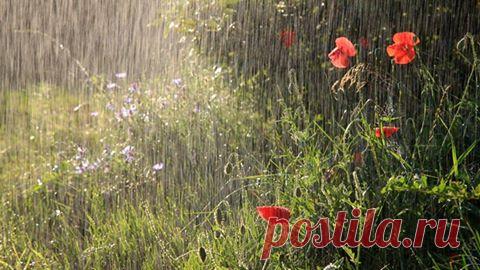 Капельки радости