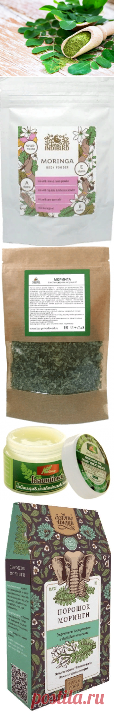 Моринга — свойства и применение %%page%