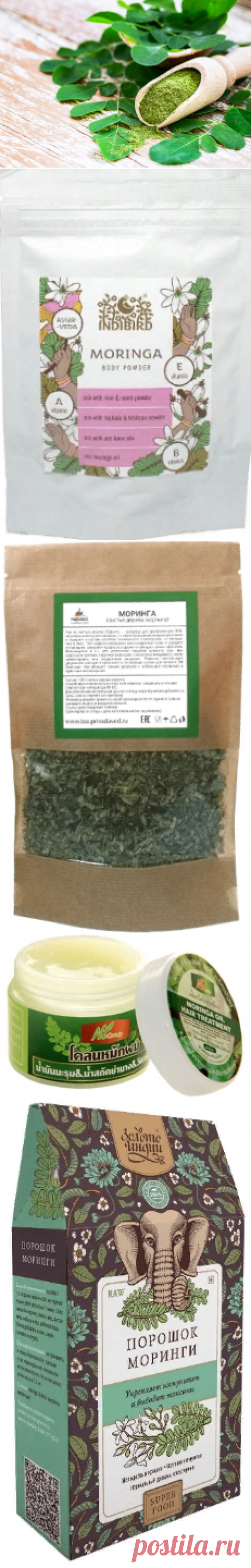 Моринга — свойства и применение %%page%