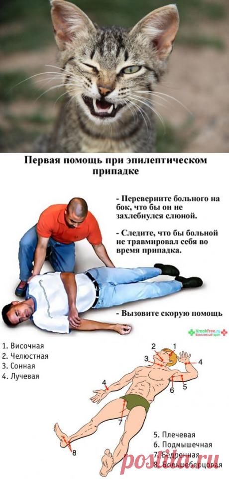 11 советов, которые спасут вам жизнь