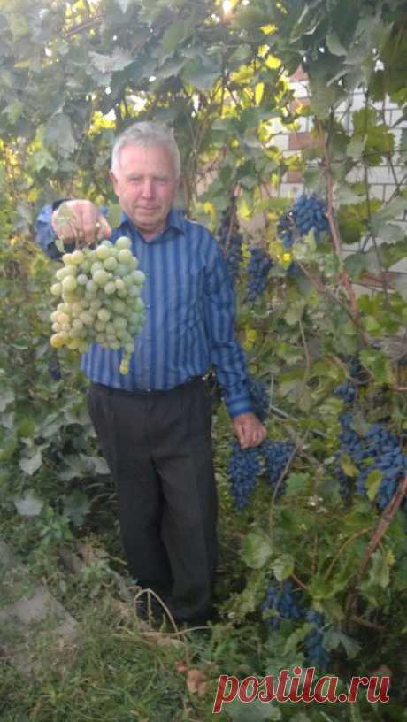 Николай Пхиденко
67 лет, Россия, г. Фролово (Фроловский район)