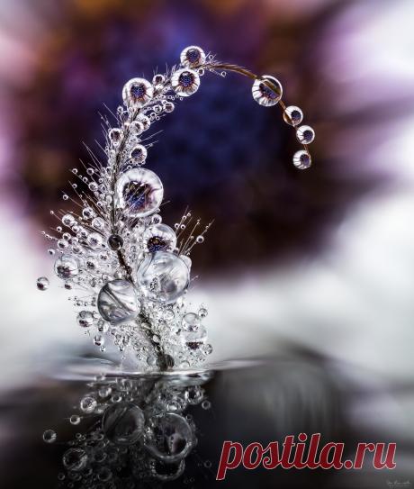 О воде: фантастические фото капель и не менее фантастические факты