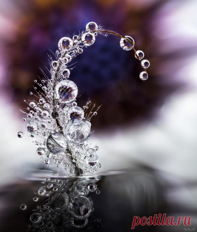 О воде: фантастические фото капель и не менее фантастические факты