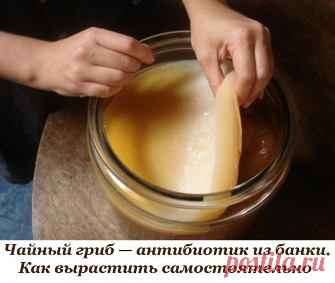 Одноклассники