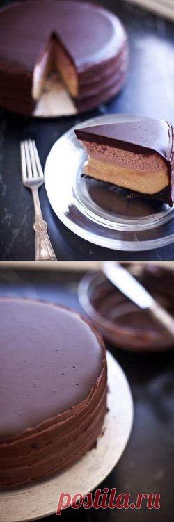 Двухслойный чизкейк с желе в шоколадной глазури &raquo; Новости Казахстана, все последние новости России и новости мира, новость дня