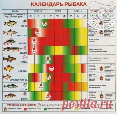Забери на стену, чтобы не забыть.