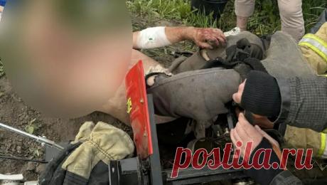 Ногу мужчины замотало в мотоблок во время работ на огороде в Челябинской области. В Челябинской области ногу 60-летнего мужчины во время огородных работ замотало в мотоблок. Об этом сообщает ГУ МЧС Челябинской области. Инцидент произошел 23 мая на улице Гагарина в городе Верхний Уфалей, когда мужчина занимался вспашкой ...